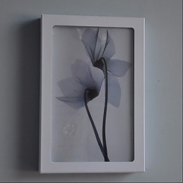Integrated Modern Contemporary Modern Comtemporary Painting Feature for Ambient Light Wall Sconces