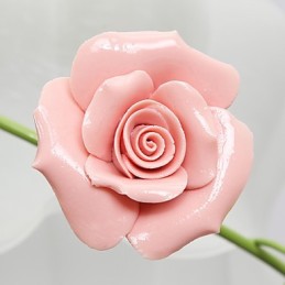 Valentine'S Day The Rose Garden Flowers And Plants Absorb Dome Light