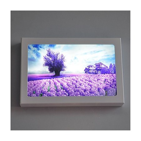 Integrated Modern Contemporary Modern Comtemporary Painting Feature for Ambient Light Wall Sconces