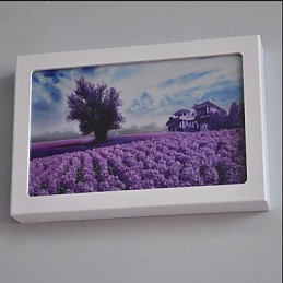 Integrated Modern Contemporary Modern Comtemporary Painting Feature for Ambient Light Wall Sconces