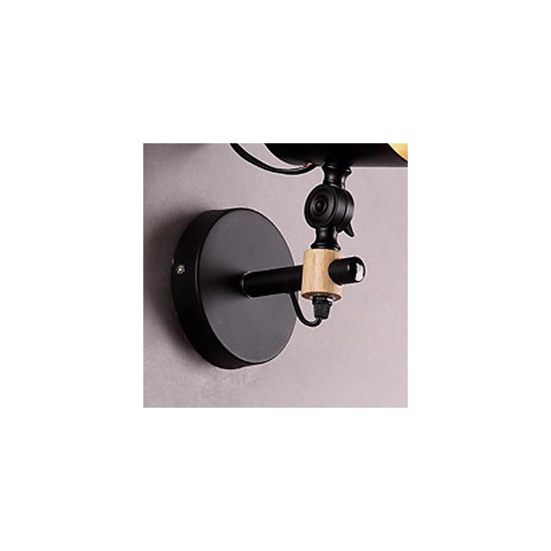 Painting Feature Downlight Wall Light