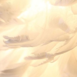 Creative Feather Wall Lamp Decorative Sconce Light