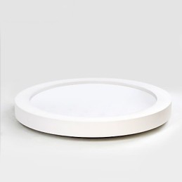 Modern Contemporary Decorative Design Ceiling Light