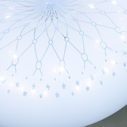 Europe Type Style Contemporary And Contracted Fashion To Absorb Dome Light Lamp