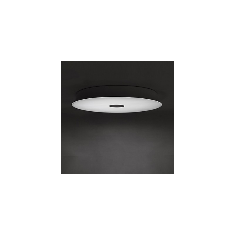 Flush Mount Modern Contemporary Metal