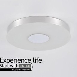 Modern Contemporary Brushed Metal Flush Mount