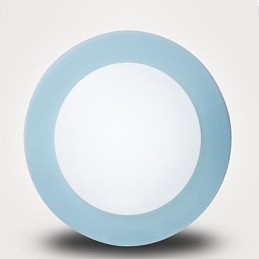 Modern Contemporary Metal Flush Mount