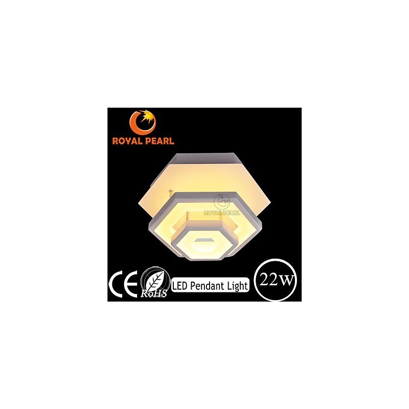 Modern Light Ceiling Light 22W