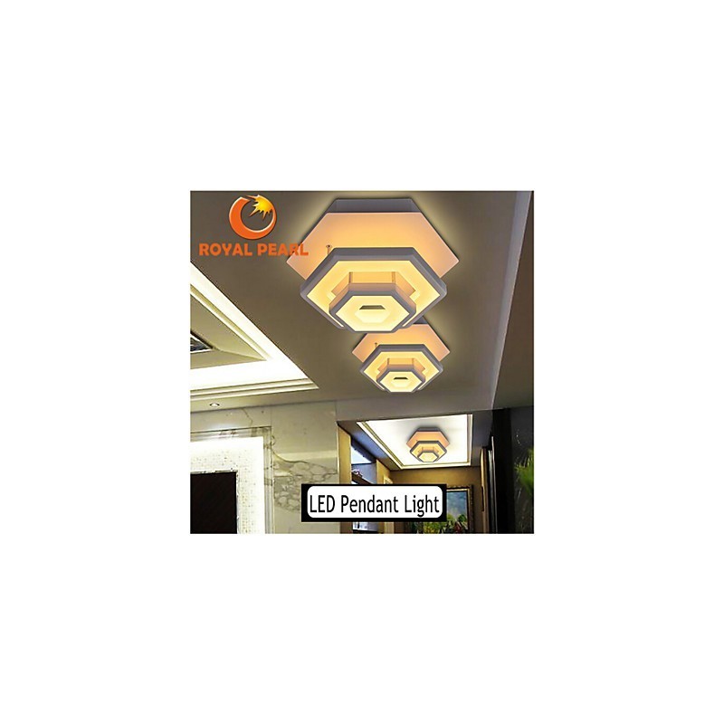 Modern Light Ceiling Light 22W