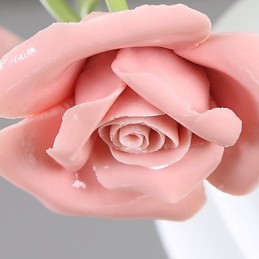 Valentine'S Day The Rose Garden Flowers And Plants Absorb Dome Light