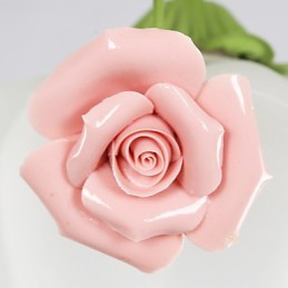 Valentine'S Day Garden Flowers And Plants Absorb Dome Light