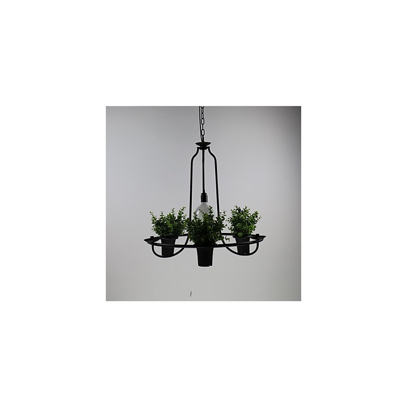 Mediterranean Garden flowers Light