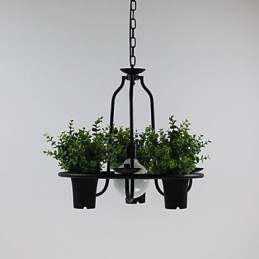 Mediterranean Garden flowers Light