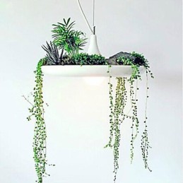 Modern Contemporary Others Metal Pendant Light