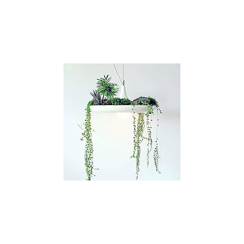 Modern Contemporary Others Metal Pendant Light