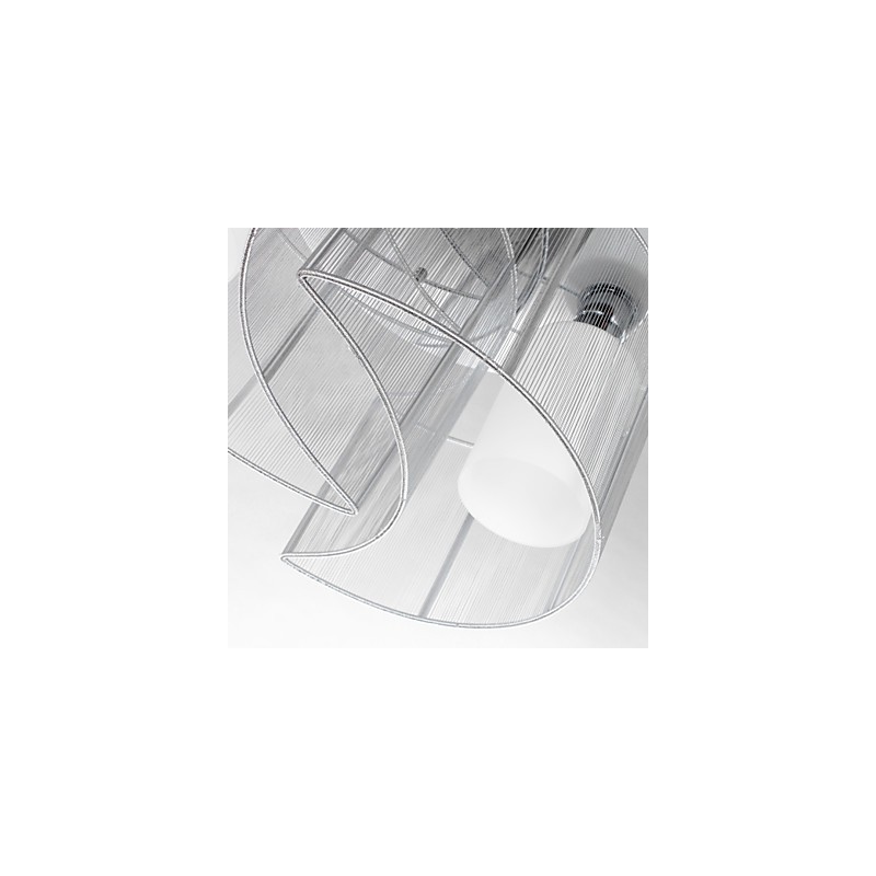 Ceiling Light Modern Design 2 Lights