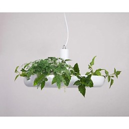 Pure White Modern Contemporary Decorative Design Pendant Light Family