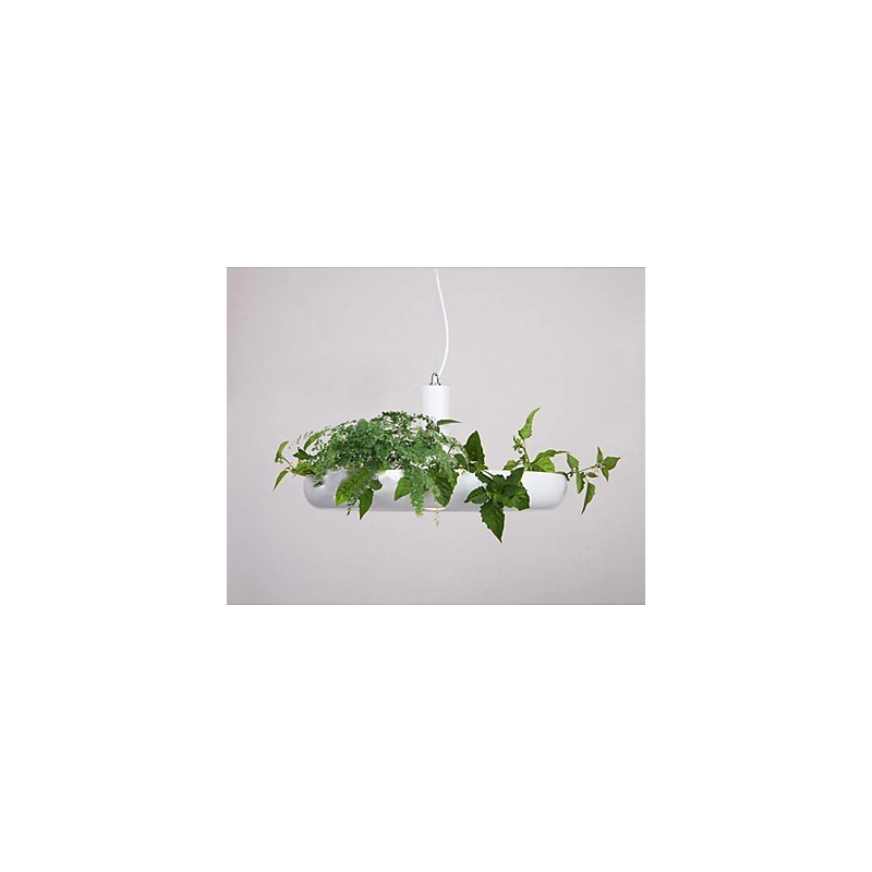 Pure White Modern Contemporary Decorative Design Pendant Light Family